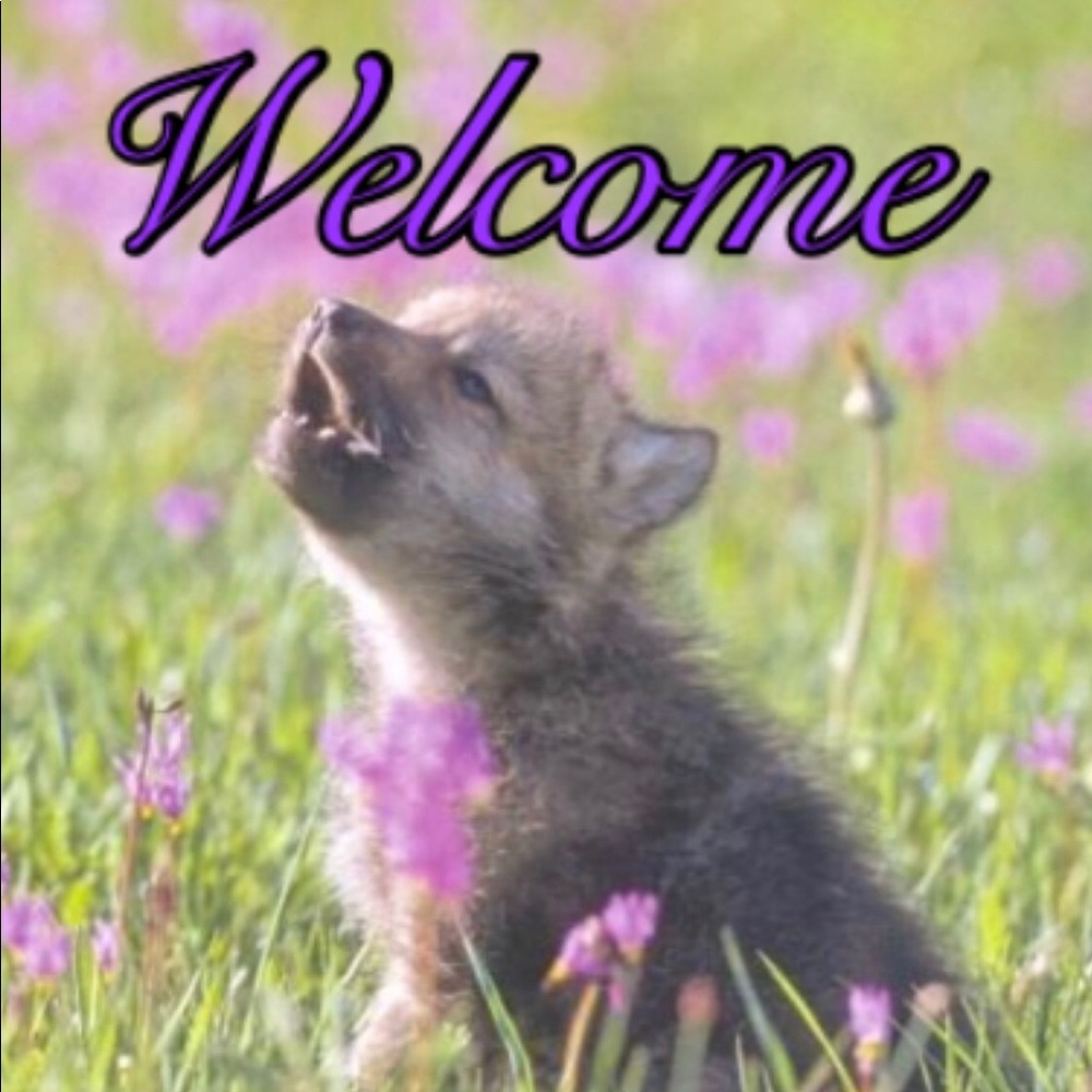 Welcome To My Closet